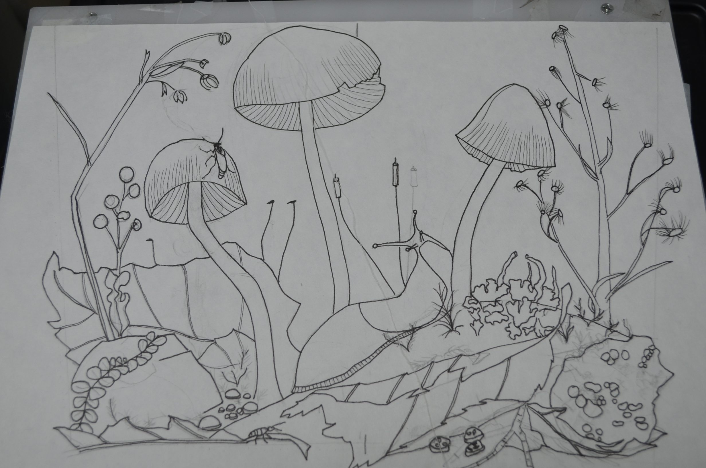 Mushroom Sketch