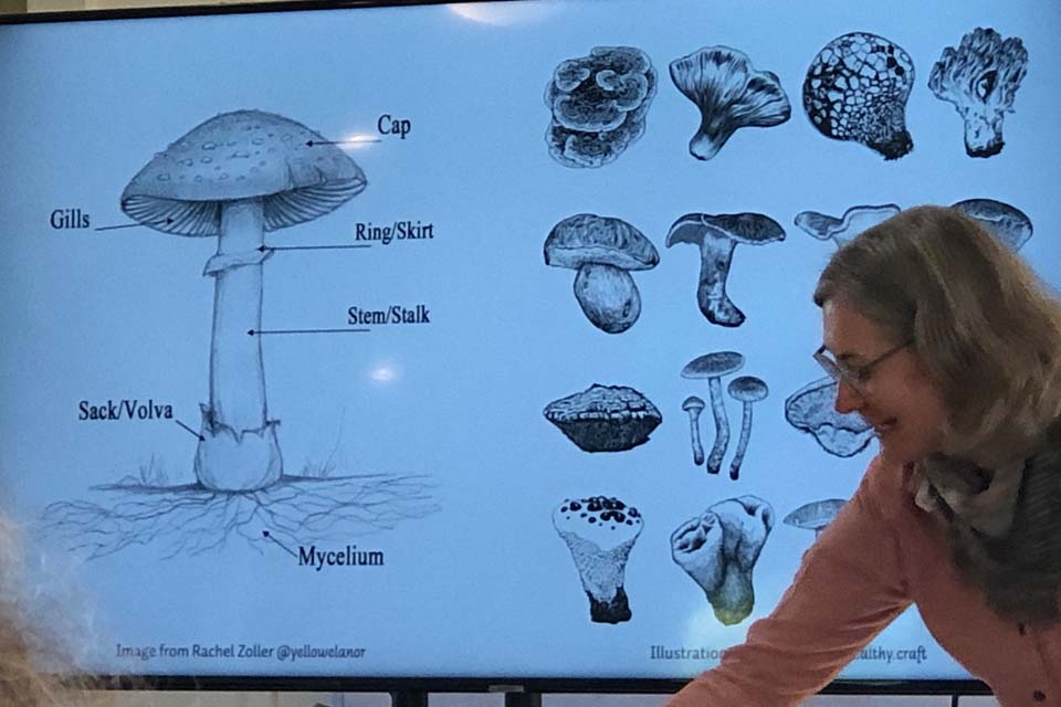 Julie Beeler teaching Mycology & Color