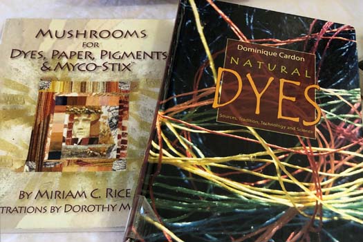 books on natural dyes